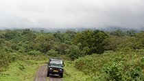 7 Day Joined Safari Serengeti,Ngorongoro,Manyara,Tarangire,Arusha National Park