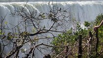 Guided Tour Of The Victoria Falls