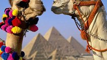 Half Day Tour to Giza Pyramids & Sphinx