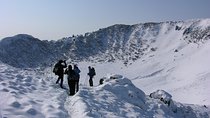 Customized Private JEJU Hiking Tour for 7 days (Mt. Hallasan and Olle Course)