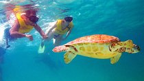 Cancun Best Deal 3x1: Snorkeling, Zip Lines & Rappel