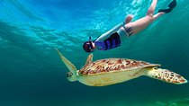 Riviera Maya Best Deal 3x1: Snorkeling, Zip Lines & Rappel