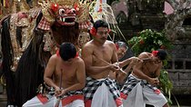 Kintamani Tour - Mount Batur - Art Village - Free WiFi