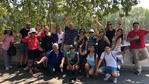  Tour Squares of Rome and Vatican