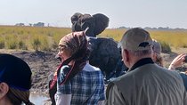 Chobe Day Trip From Livingstone