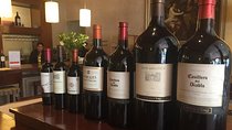 Wine Tour Concha Y Toro & Santa Rita Winery & Lunch. PRIVATE TOUR