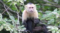  Wildlife Tour at Palo Verde National Park