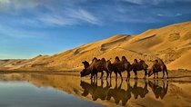 Overnight Semi-Gobi Tour with Nomadic HomeStay
