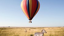 A week Safari Serengeti,Ngorongoro,Manyara,Tarangire,Arusha Parks