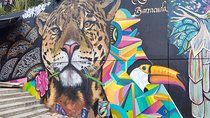 Medellín & Comuna 13 Private Tour