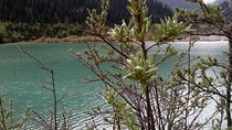 Individual tour to Issyk Lake+trout farm+museum+arboletum. One day tour