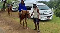 Explore Montego Bay to Horse Back Riding, River Tubing, Blue Hole