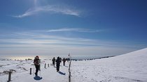 [5-days Jeju] Private Customized Hiking(Hallasan & Olle Course) with Mountaineer