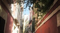 Private tour Royal Palace+Cathedral+old Jewish neighbourhood