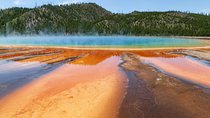 Best of Yellowstone - Guided National Park Safari Tour