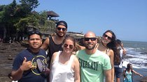 Bali Driver and Tour Package