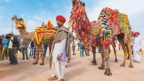 Private 11 Days India Cultural Rajasthan Tour