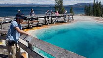 Best of Yellowstone Private National Park Safari Tour