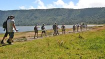5 Days Ngorongoro Highlands Trekking