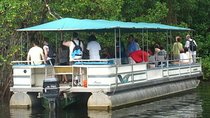 Black River Safari Tour from Montego Bay 