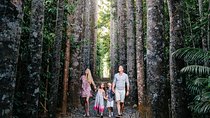 Day Tour to Paronella Park, Lake Barrine and Millaa Millaa Falls