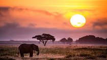 7 days lodge safaris