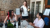 Wine Cheese and EVO Oil Tastings Southern Tuscany Fullday from Rome