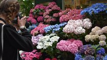 Marché Madness & Flea Markets: Full or Half day Privater Tours
