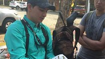 Birdwatching Tour Manuel Antonio / Esquipulas Private Tour 