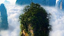 1 "Pandora" Day Trip-Zhangjiajie National Park(Avatar Mountain Scenery)