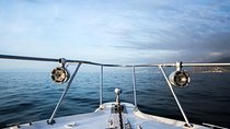 4-Day Puerto Vallarta Photography Workshop (with Whale Watching)