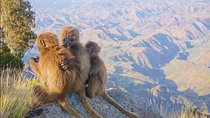 7 Days Northen Ethiopia Tour
