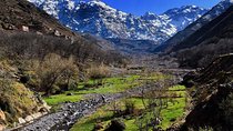 Excursions day tour From Marrakech to Atlas Mountains