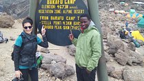 8 Days (7 Night) Lemosho Route