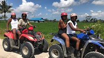 Best Of Bali Quad Bike Adventure