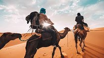 Erg Chebbi Dunes