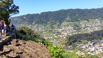 Maroços - Mimosa Valley