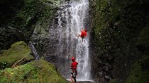 Costa Rica Adventure Package Beach and Rainforest 8 Days