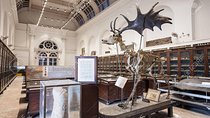 Tour to Indian Museum Kolkata