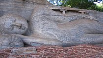 4 Days Tour To Polonnaruwa Sigiriya Dambulla Kandy & Nuwara Eliya