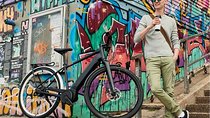 Amazing Vienna on Electric Bike