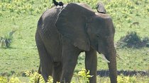 Kidepo Valley Wilderness Experience