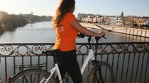 Bike rental all day
