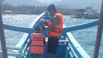 Snorkeling tour at blue lagoon and cooking class at local village.