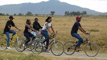 The Great Rift Valley Tour - L Bogoria, L Nakuru, L Naivasha and Hellsgate NP