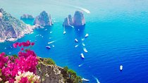 Sorrento, Capri and Positano: full-day private tour from Rome