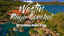 Private Round Trip Shuttle From Liberia Airport To Reserva Conchal