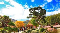 One Day Private Tour-Nami, Petite and Garden of Morning Calm