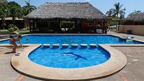 From Liberia Airport To Conchal & Flamingo - Shuttle Service