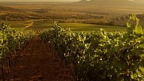 Grand Wine Tasting Tour of Eger and Tokaj 